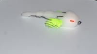 3D Animator + 9 WG