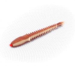 3D Ex WORM  14 WBr offset